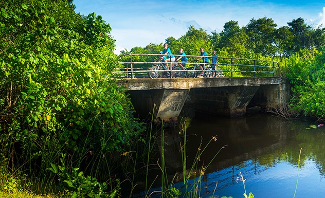 Scenic guided bicycle trails - Experience - Sri Lanka In Style